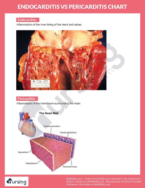 File:Endocarditis vs Pericarditis Chart.pdf