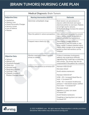 Example Care Plan Brain Tumors.pdf