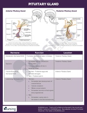 ← previous page