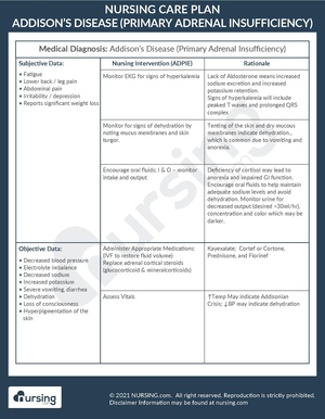 Example Care Plan Addison’s Disease (Primary Adrenal Insufficiency).pdf