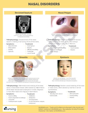 Nasal Disorders.pdf