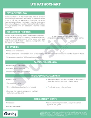 UTI Pathochart.pdf