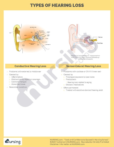 File:Hearing Loss Types.pdf