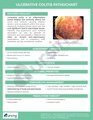 Thumbnail for version as of 20:35, 29 January 2026