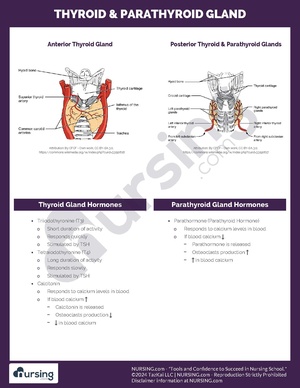 Thyroid & Parathyroid Gland.pdf