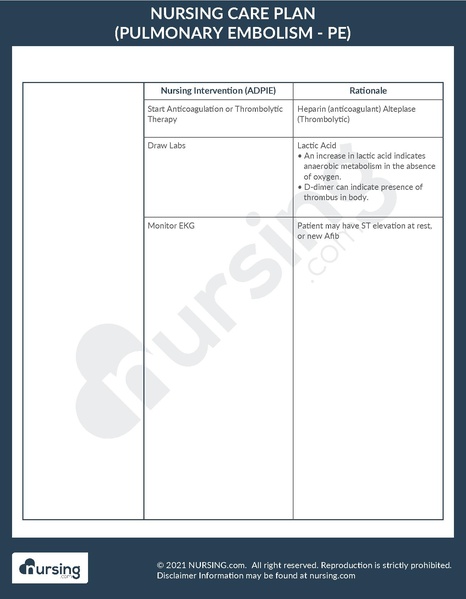 File:Example Care Plan Pulmonary Embolism.pdf