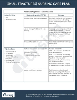 Example Care Plan Skull Fractures.pdf