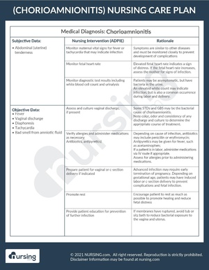 Example Care Plan Chorioamnionitis.pdf