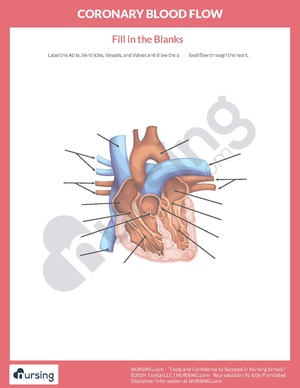 Coronary Blood Flow Worksheet.pdf