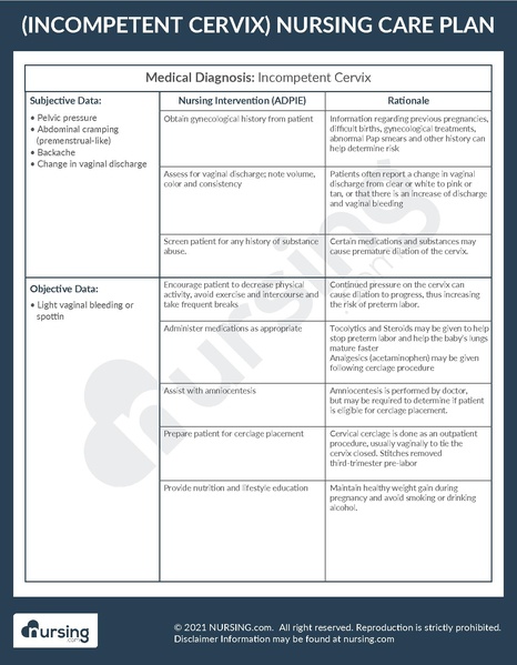 File:Example Care Plan Incompetent Cervix.pdf