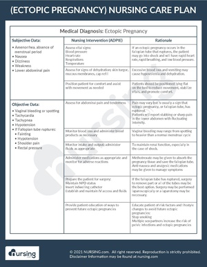 Example Care Plan Ectopic Pregnancy.pdf