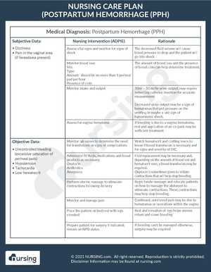 Example Care Plan Postpartum Hemorrhage (PPH).pdf