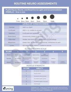 Routine Neuro Assessments.pdf