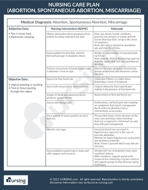 Example Care Plan Abortion, Spontaneous Abortion, Miscarriage.pdf