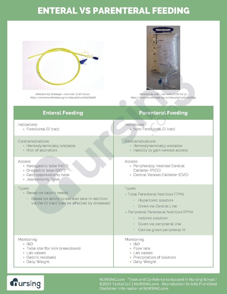 File:Enteral vs Parenteral Feeding.pdf