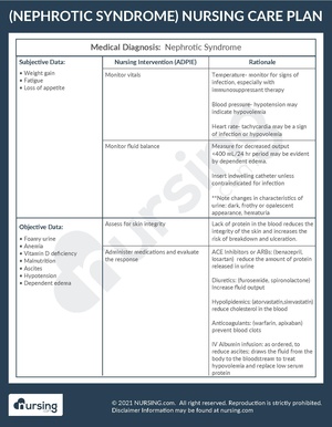 Example Care Plan Nephrotic Syndrome.pdf