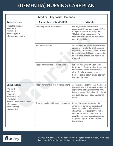 File:Example Care Plan Dementia.pdf