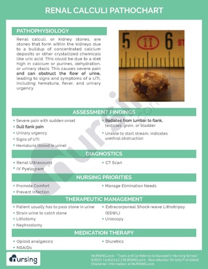 Renal Calculi Pathochart.pdf