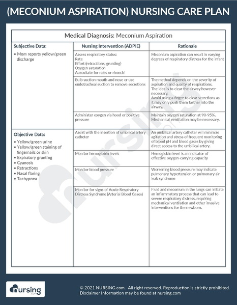 File:Example Care Plan Meconium Aspiration.pdf