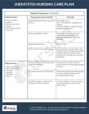 Example Care Plan Hepatitis.pdf
