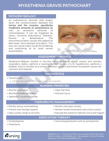 File:Myasthenia Gravis Pathochart.pdf