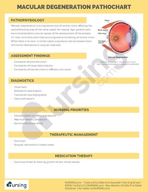 Macular Degeneration Pathochart.pdf