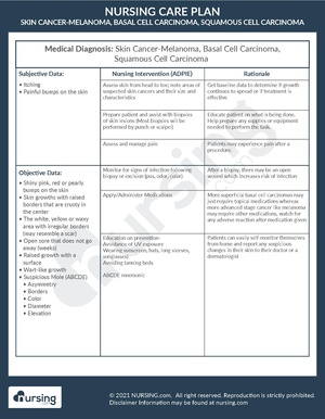 Example Care Plan Skin Cancer.pdf