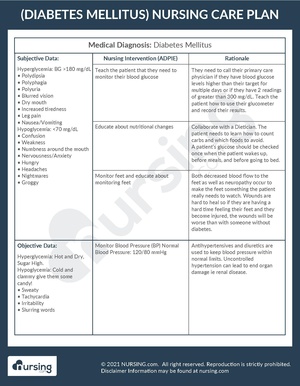 Example Care Plan Diabetes Mellitus.pdf