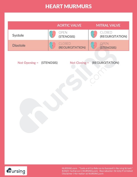 File:Heart Murmurs.pdf