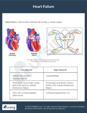 Heart Failure.pdf