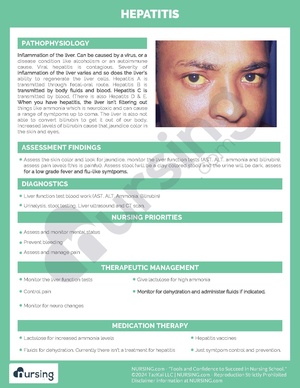 Hepatitis Pathochart.pdf