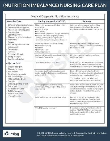 File:Example Care Plan Nutrition Imbalance.pdf