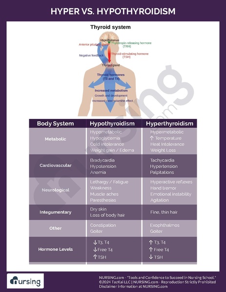 File:Hyper vs. Hypothyroidism.pdf