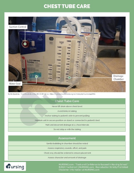 File:Chest Tube Management.pdf