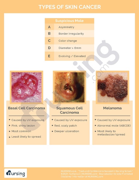 File:Types of Skin Cancer.pdf