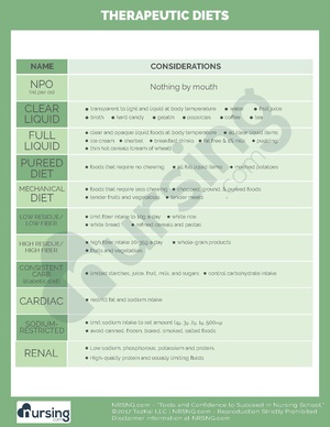 Therapeutic Diets.pdf