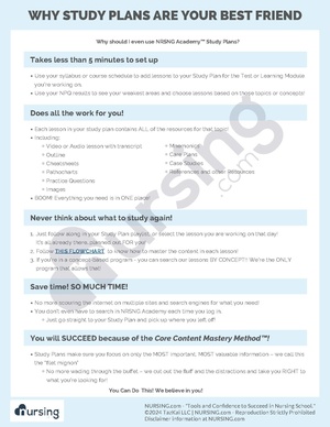 Why Study Plans are Your Best Friend.pdf