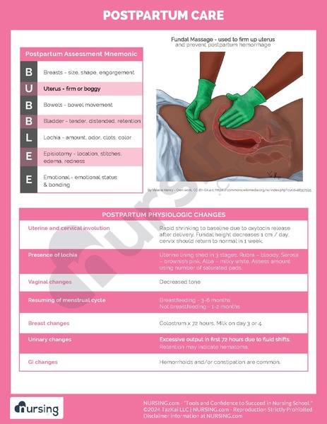 File:Postpartum Care.pdf