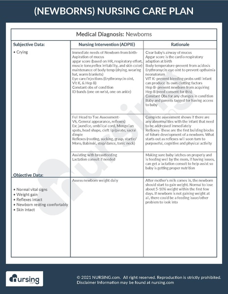 File:Example Care Plan Newborns.pdf