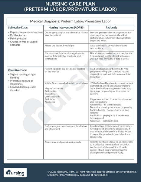 File:Example Care Plan Preterm Labor - Premature Labor.pdf