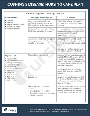 Example Care Plan Cushing’s Disease.pdf