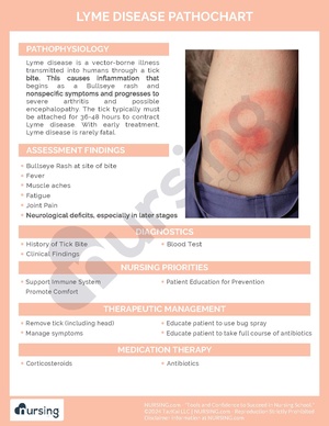 Lyme Disease Pathochart.pdf