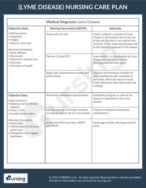 File:Example Care Plan Lyme Disease.pdf