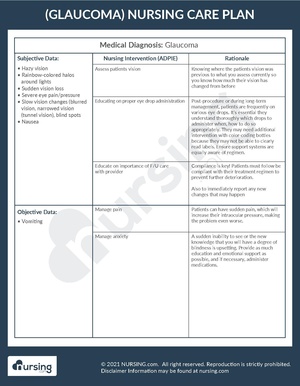 Care Plan Example Glaucoma.pdf