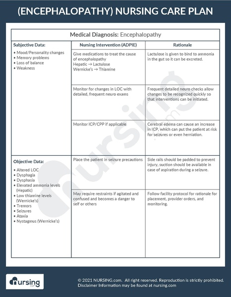 File:Example Care Plan Encephalopathy.pdf