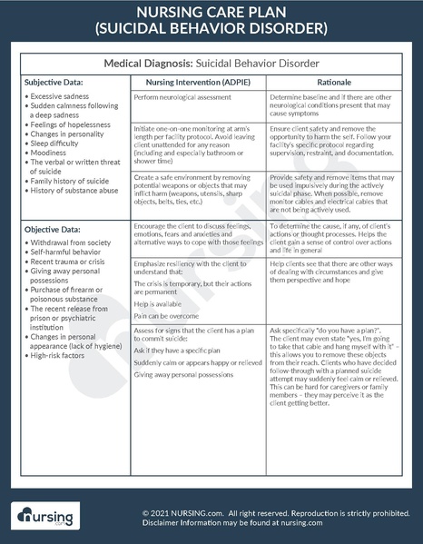 File:Care Plan Example Suicidal Behavior Disorder.pdf