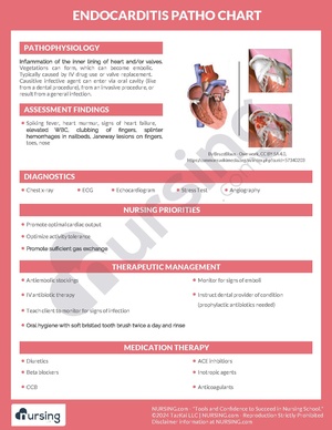 Endocarditis Pathochart.pdf