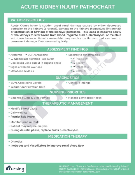 File:Acute Kidney Injury Pathochart.pdf