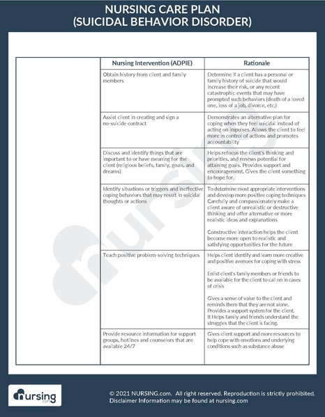 File:Care Plan Example Suicidal Behavior Disorder.pdf