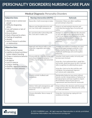 Example Care Plan Personality Disorders.pdf